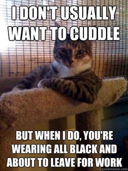 cuddlingcat